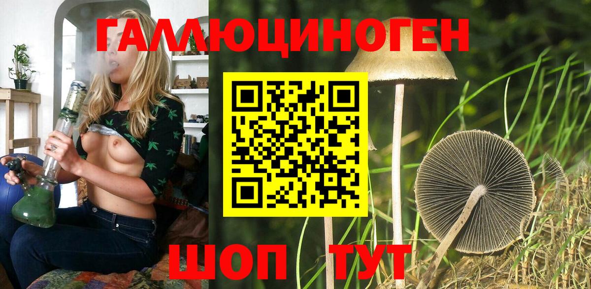 Павлово  Галлюциногенные грибы Magic Shrooms  Галлюциногенные грибы Cubensis  цена   Вход с VPN 