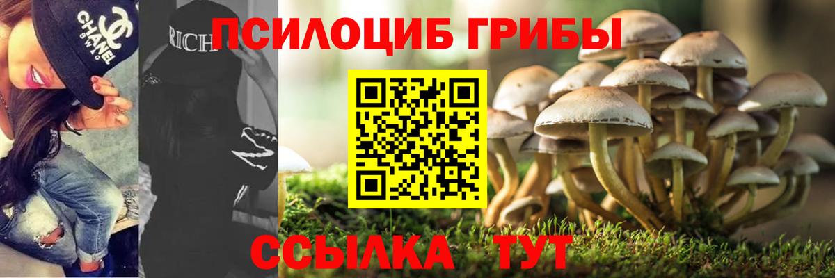 Псилоцибиновые грибы мухоморы Павлово